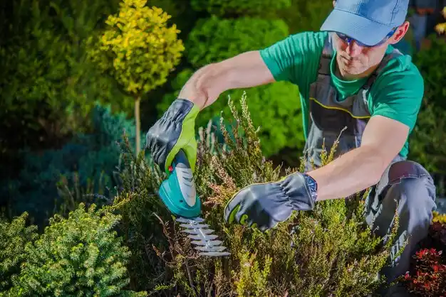 landscaping services Cassadaga